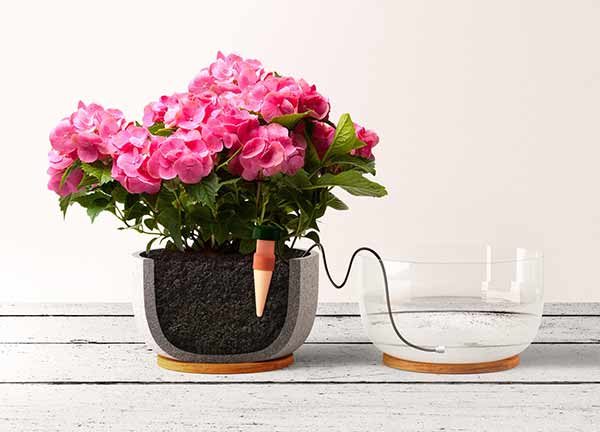 Blumat classic zalivanje za saksijsko cvece